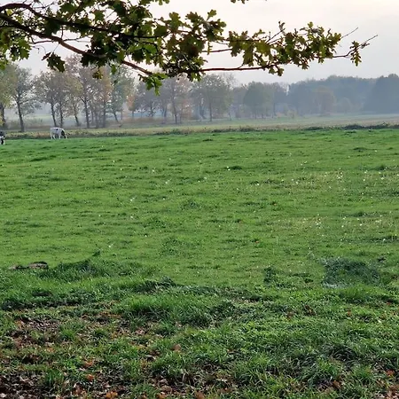 Appartement Gemuetliche Direkt Am Kuestenkanal! Wardenburg